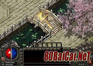 热血传奇1.76复古版点卡