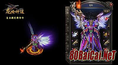 �¿�������ƴ���