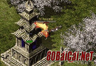 1.76����¿�