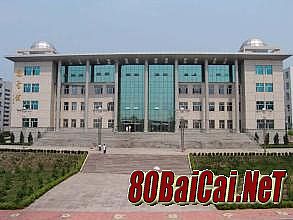 �������簲׿