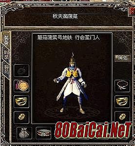 热血传奇手机版分解11