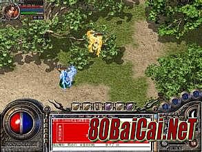 ����1.76�Ǹ�������