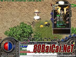 ��̬����ϻ���