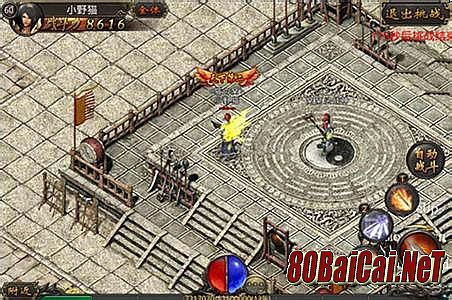 ��Ѫ�����̬sf