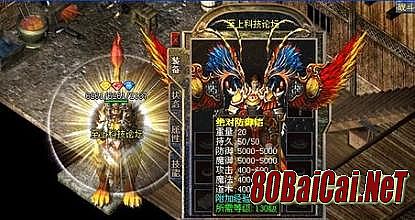 ʢ�������������