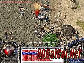 ��Ѫ�����װ����ȫ