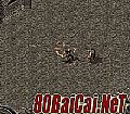 ��ͨ������վ,������˰���ʥ�����������